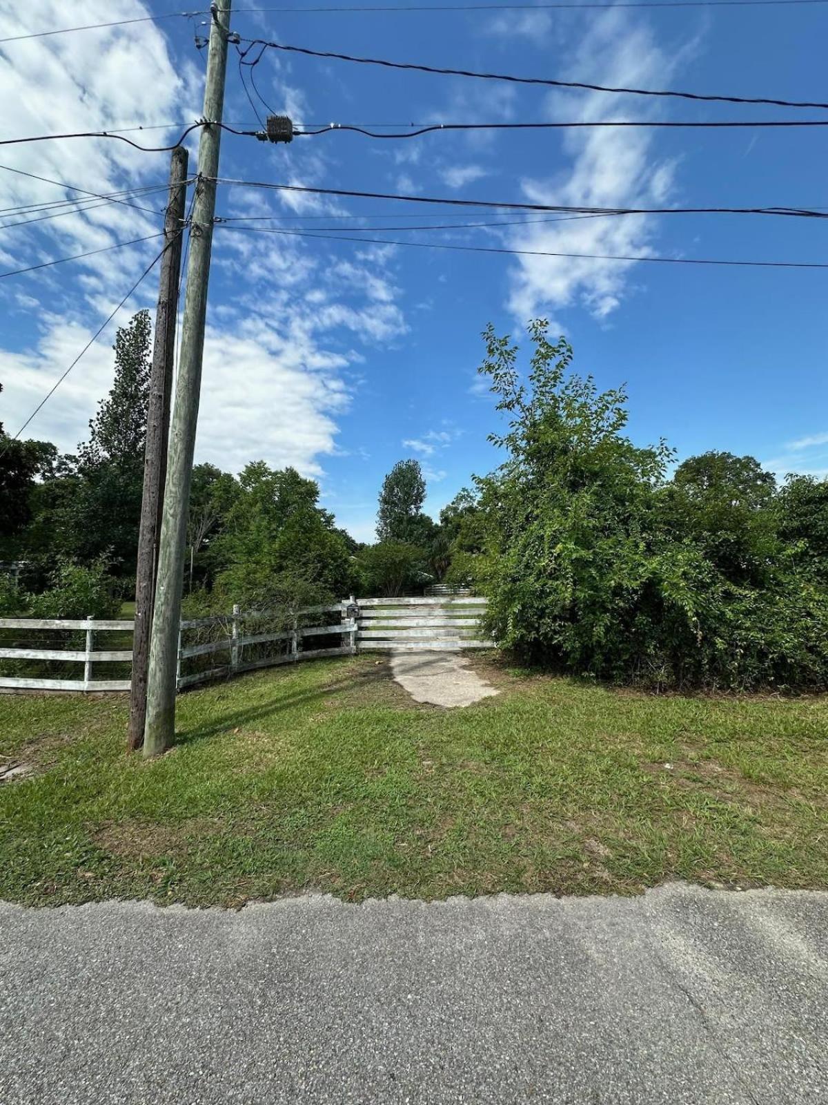 Bare Feet Bungalow -Close To Beach & Dog Friendly Gulfport Exteriér fotografie