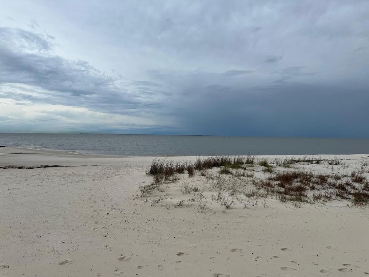 Bare Feet Bungalow -Close To Beach & Dog Friendly Gulfport Exteriér fotografie