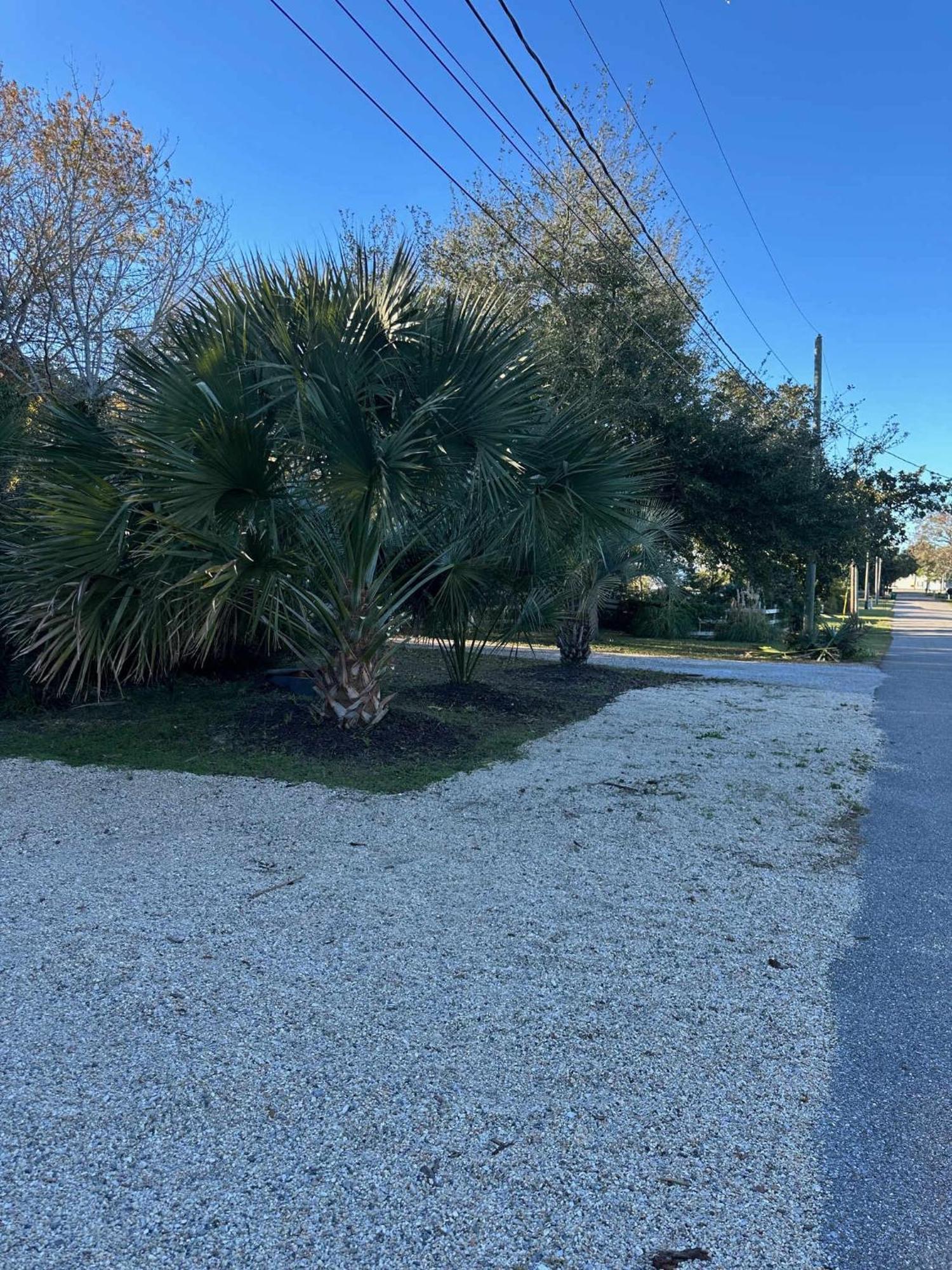 Bare Feet Bungalow -Close To Beach & Dog Friendly Gulfport Exteriér fotografie